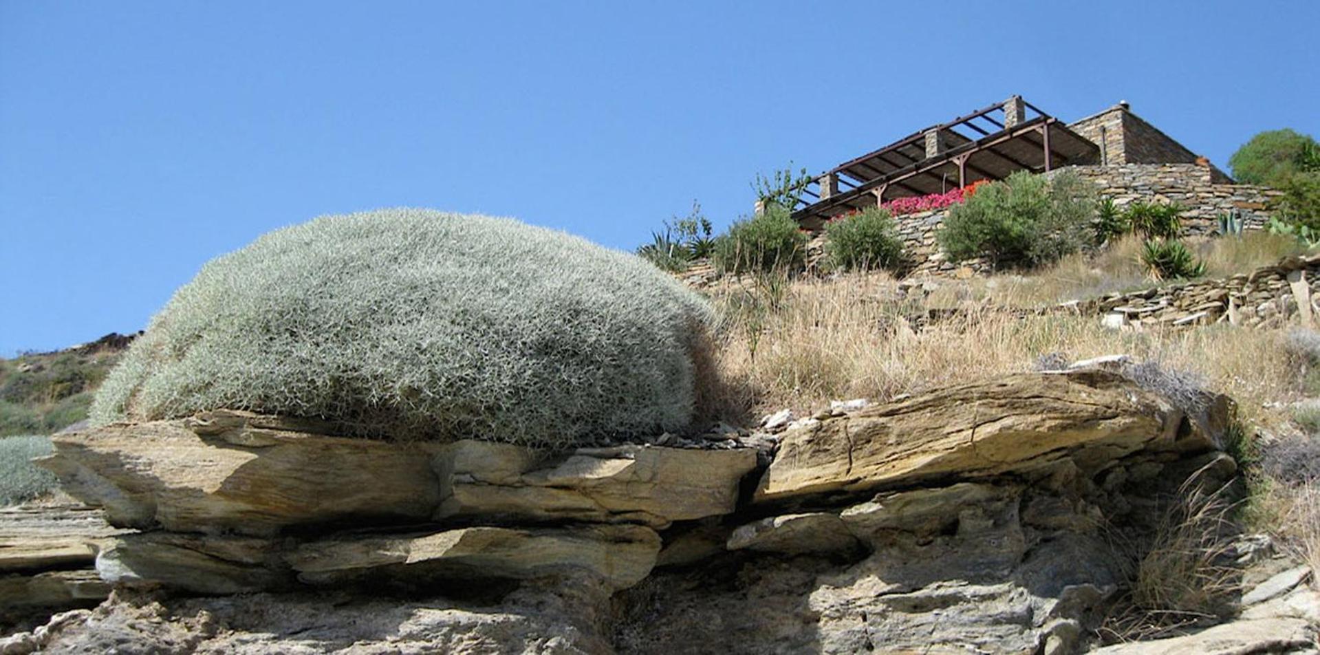 Feet-In-Water Beach House Apartment Pisses Exterior photo